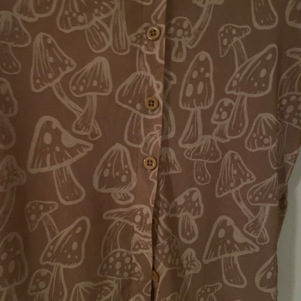 Motel Rocks Tan Sheer Top - Picture 3 of 5